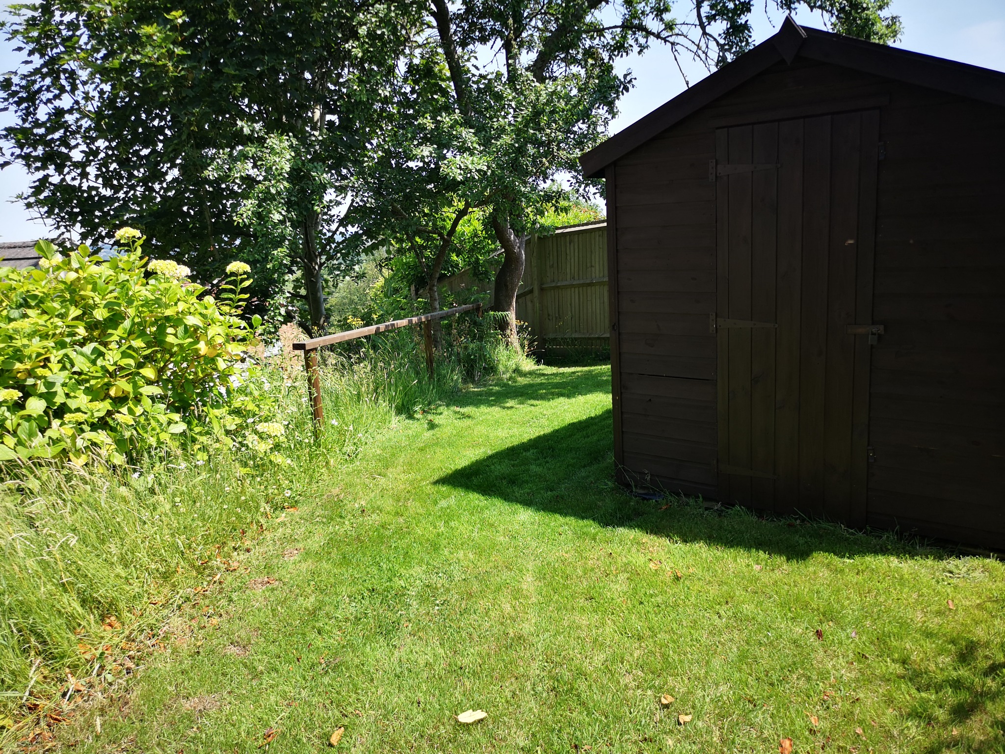 Grass Cut and Shed and Handrail Painted
